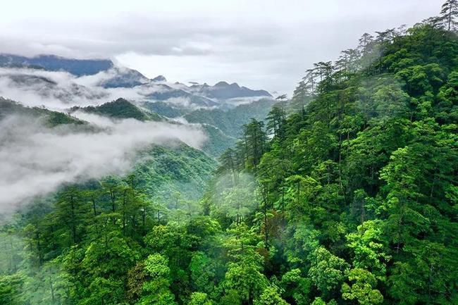 乘風(fēng)破浪開新局——以習(xí)近平同志為核心的黨中央引領(lǐng)“十四五”穩(wěn)健開局紀(jì)實(shí)(圖11)