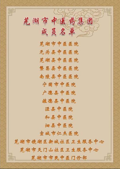 乘十九大春風(fēng) 譜中醫(yī)藥發(fā)展新曲 ——蕪湖市中醫(yī)藥集團(tuán)成立大會順利舉行(圖4)