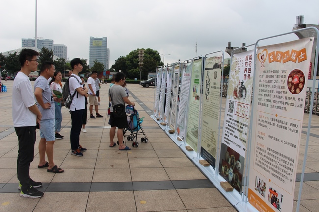 中醫(yī)藥法頒布一周年——我市舉行中醫(yī)中藥中國(guó)行.蕪湖站大型中醫(yī)藥健康文化活動(dòng)(圖3)