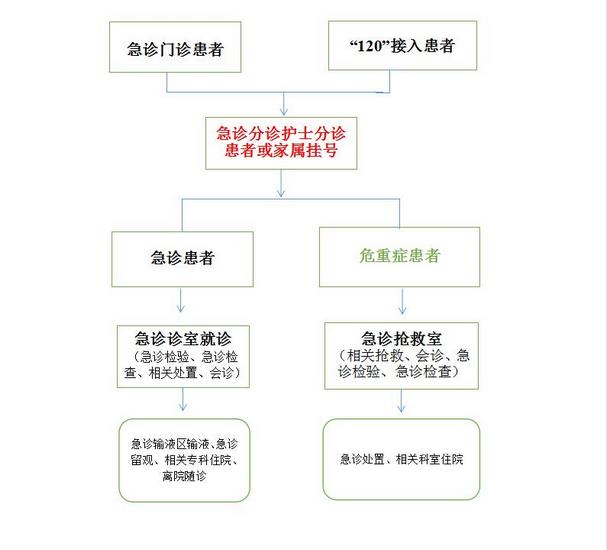 蕪湖市中醫(yī)醫(yī)院 急診就診流程圖(圖1)