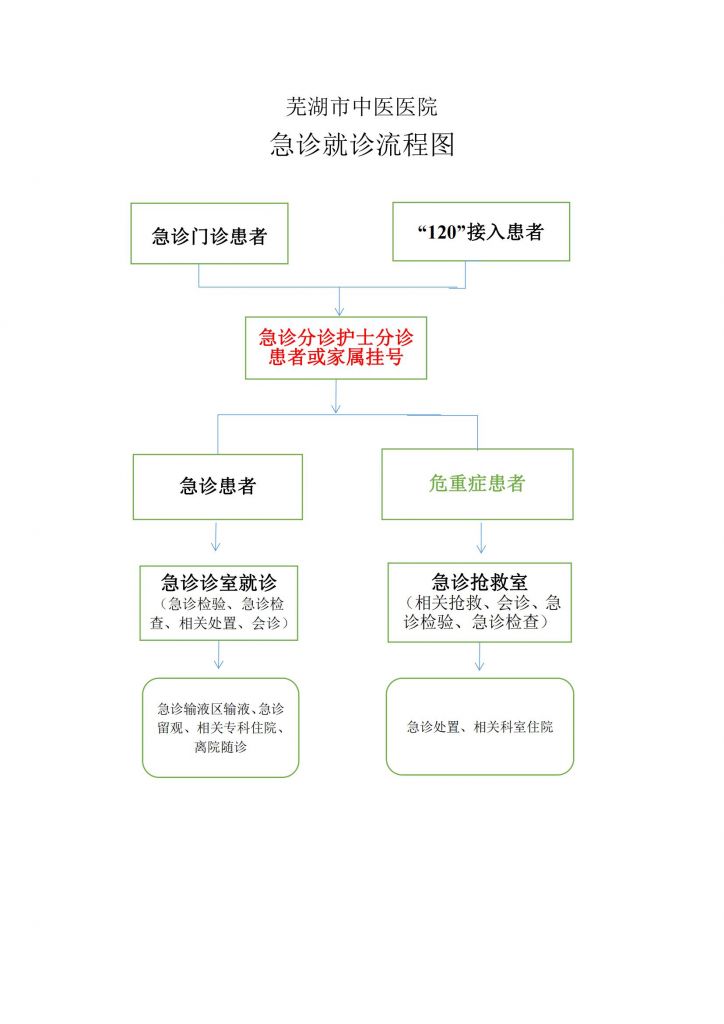 急診就診流程圖(就診須知）_00.jpg