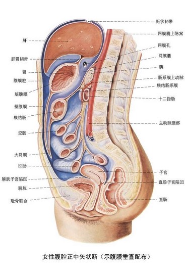 2 (復(fù)制).jpg