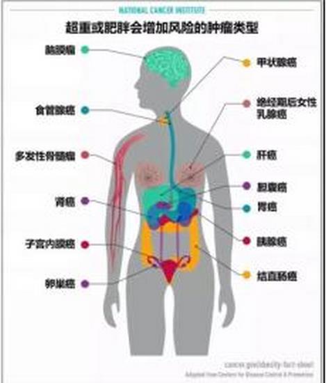 圖片3 (復(fù)制).jpg