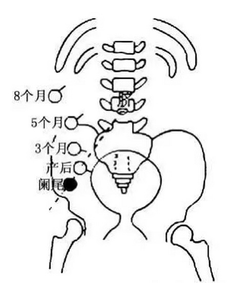 3 (復(fù)制).jpg