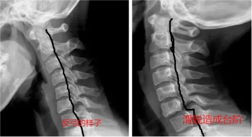 圖片3.jpg