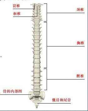 圖片6.jpg