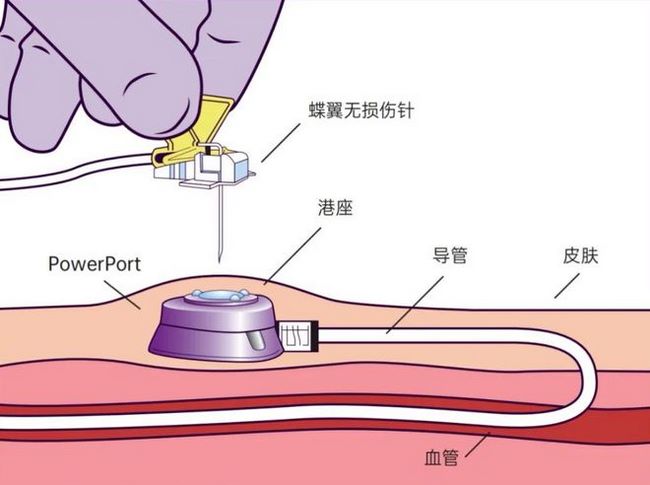 圖片1 (復制).jpg