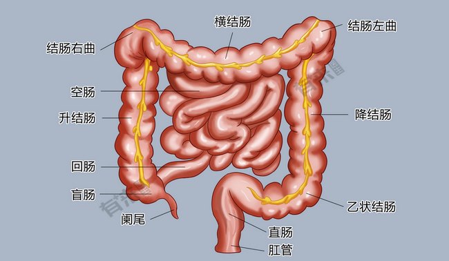 圖片1 (復(fù)制).jpg