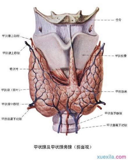 圖片5 (復(fù)制).jpg