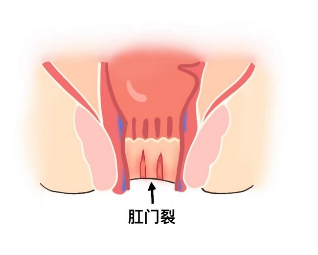 圖片2 (復(fù)制).jpg