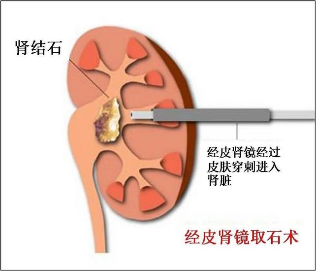 圖片6 (復(fù)制).jpg