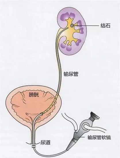 圖片7 (復(fù)制).jpg