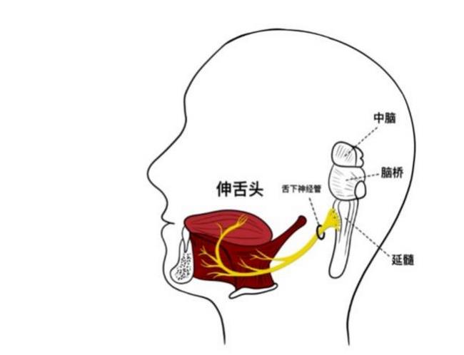 圖片3 (復(fù)制).jpg