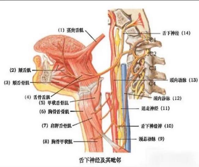 圖片4 (復(fù)制).jpg