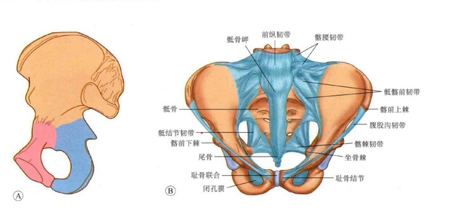 圖片1 (復(fù)制).jpg