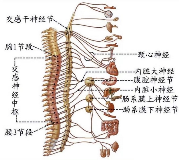 圖片1 (復(fù)制).jpg