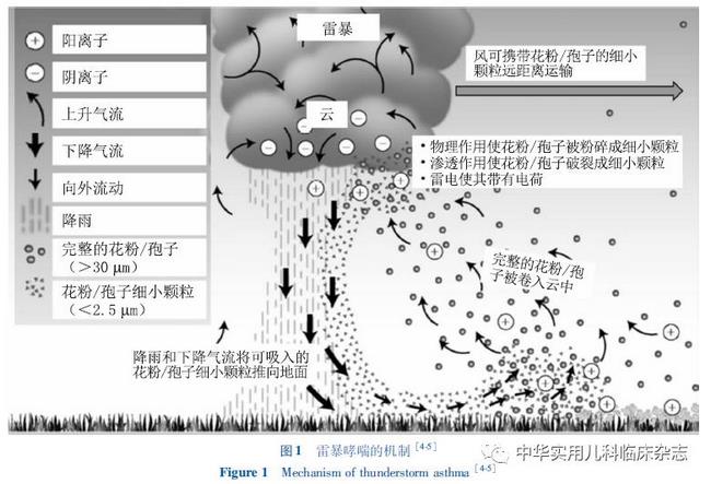 2 (復(fù)制).jpg